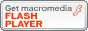 flashDL